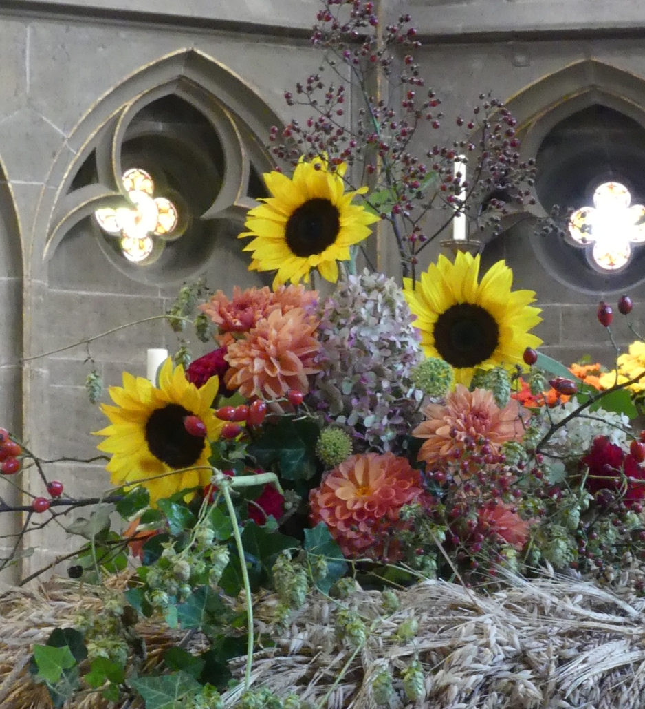 Foto: Veronika Heckmann-Hageloch